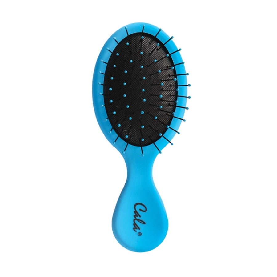 Wet-n-Dry Travel Hair Brush