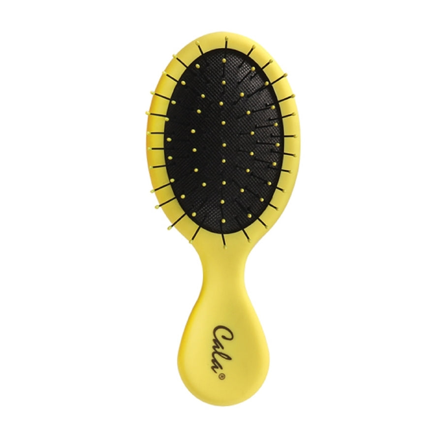 Wet-n-Dry Travel Hair Brush