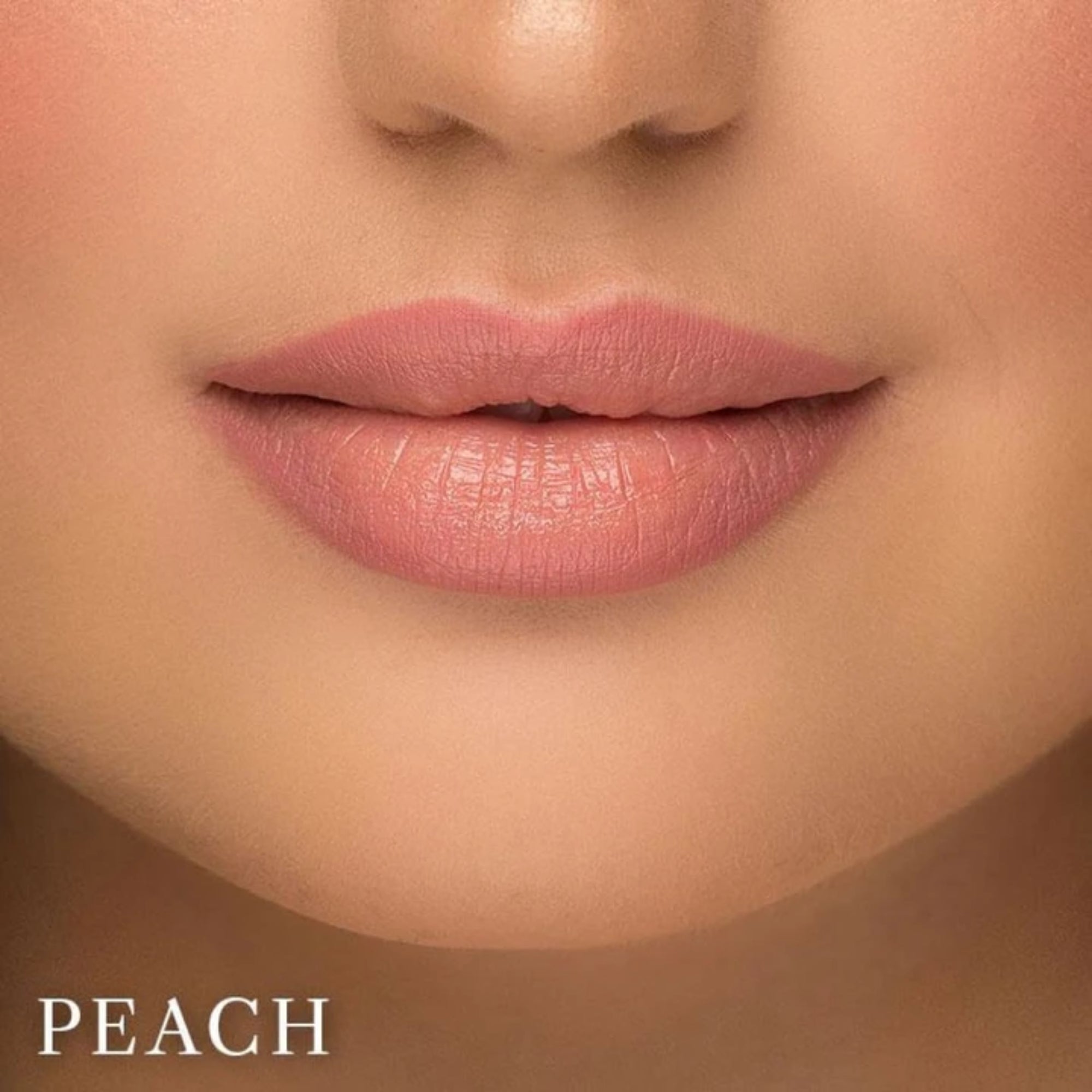 The 4 in 1 Lip Quad - Nude Edition